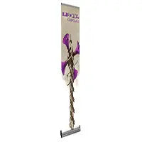 Barracuda 600 Retractable Banner Stand    22.5W Orbus Barracuda Banner Stand